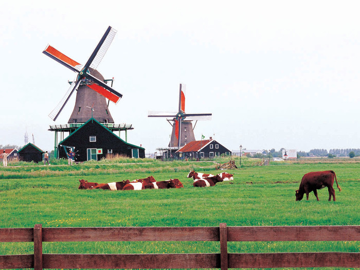 【欧洲旅游攻略收集】比利时、荷兰、柏林5日