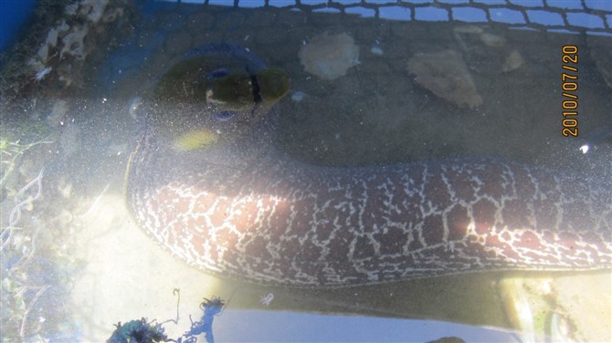 逃离深圳的日子,三亚 寻乐记 !_海南旅游攻略_途