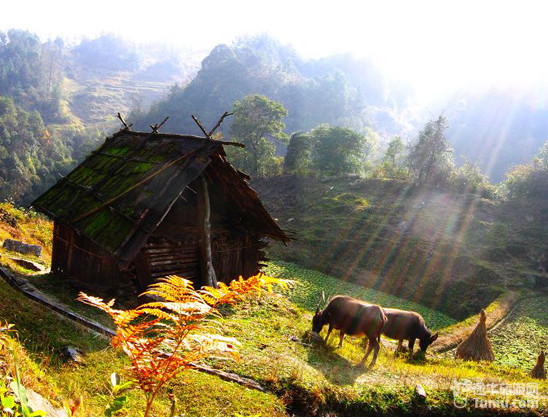 都匀旅游攻略收集】都匀必游景点介绍