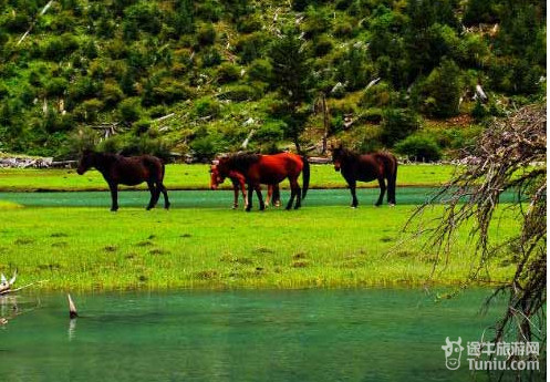 【康定旅游攻略收集】康定必游景点介绍