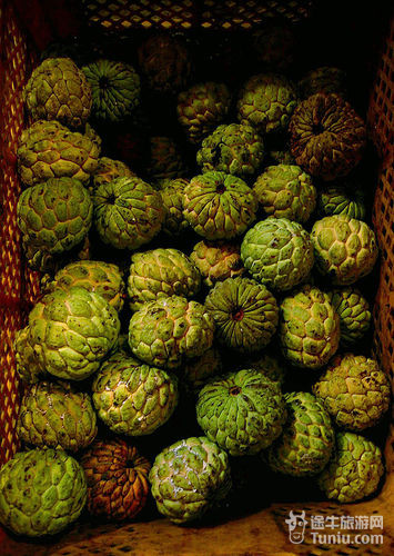 【菲律宾旅游购物攻略】菲律宾土特产等选购指