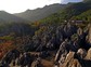 千岛湖石林