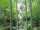 山沟沟风景名胜区