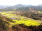 齐云山