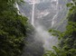 三峡竹海
