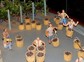张裕国际葡萄酒城
