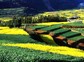 丽水云和梯田景区