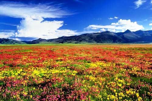 甘孜州旅游风景图片_甘孜州旅游景点图片