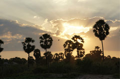 康提天气预报(Kandy Weather) - 康提未来一周