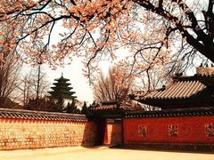 芜湖代办亚洲旅游签证