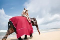 康提天气预报(Kandy Weather) - 康提未来一周