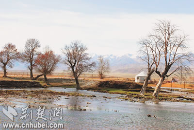 博尔塔拉温泉图片