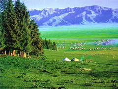阿尔泰山图片