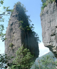 金佛山风景区图片