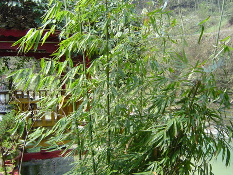 黔江风景区图片