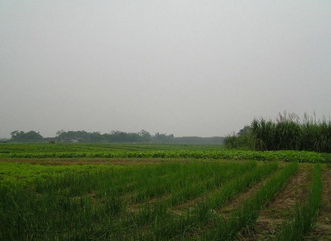 五通桥图片
