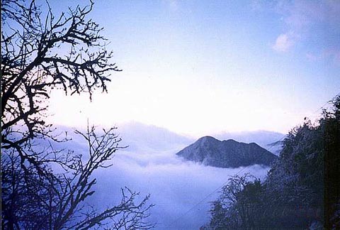 黑竹沟图片