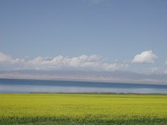 倒淌河图片