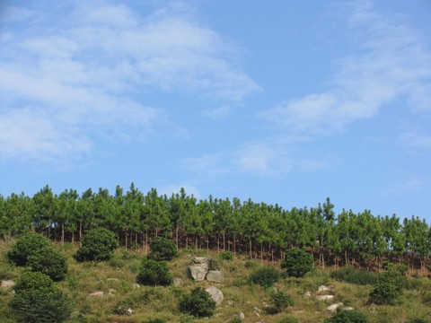 大帽山图片