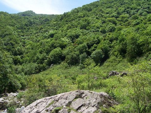 秦岭云横图片