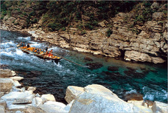 shennong7