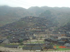 DSC02435