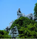 三衢石林图片