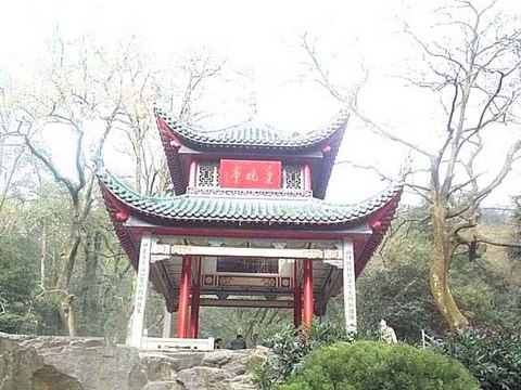 爱晚亭图片