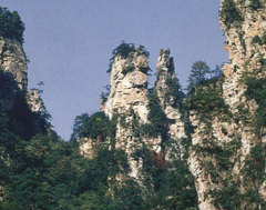 slhl2
