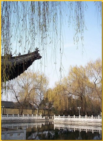 珍珠泉图片