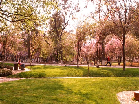 云南大学图片