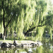 北京大学