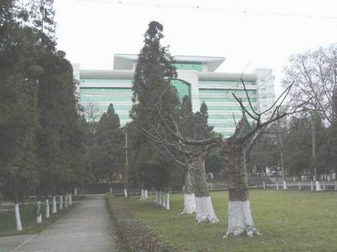 贵州大学图片