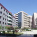 西北大学