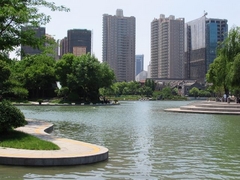 湖滨公园3