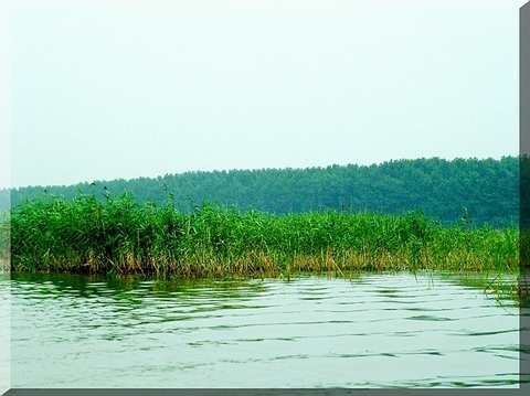 微山湖风光旅游区图片