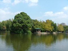 翠湖公园 3