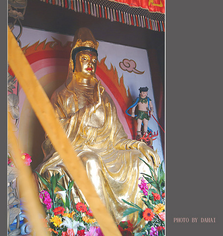 西沽潮音寺图片