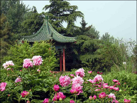 济南植物园图片