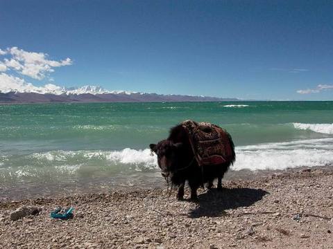 纳木错3 - 纳木错的照片\/那曲\/西藏