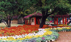 青岛中山公园图片