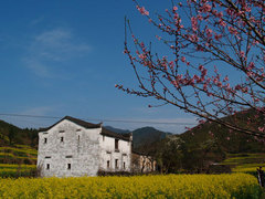 <婺源-李坑-江湾-江岭梯田-鸳鸯湖3日>两晚屯溪