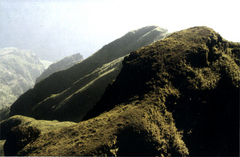 大山包图片