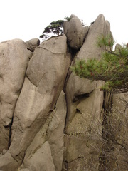 黄山 DSC02694