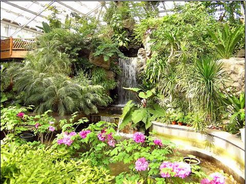 上海植物园图片