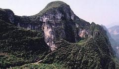 龙缸图片