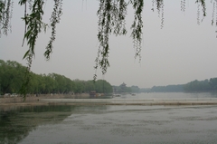 后海