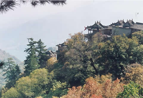 漳县贵清山图片