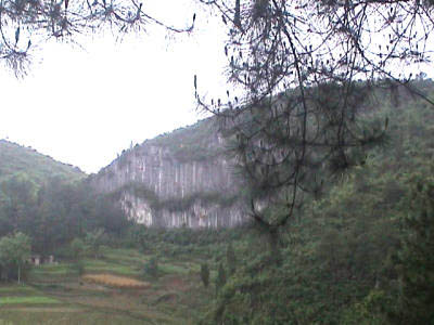茶山图片