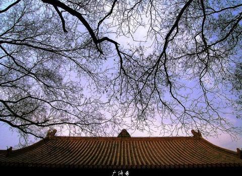 广济寺图片